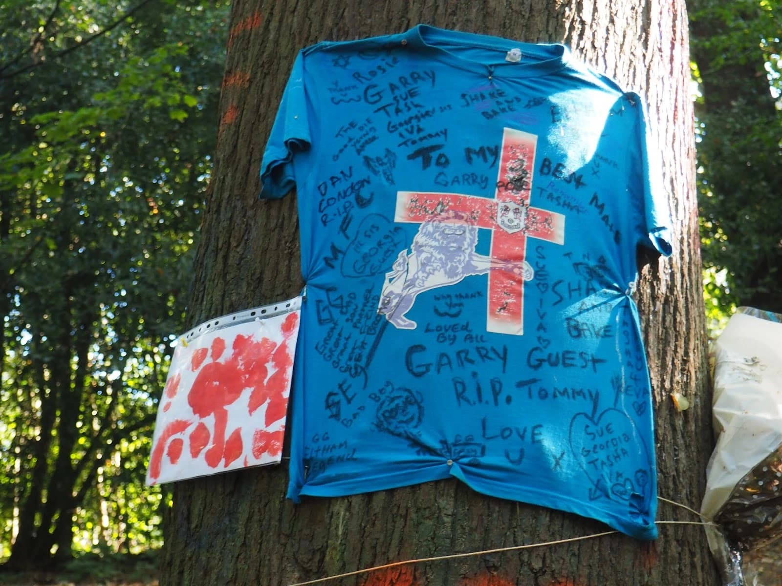 The Suicide Forest